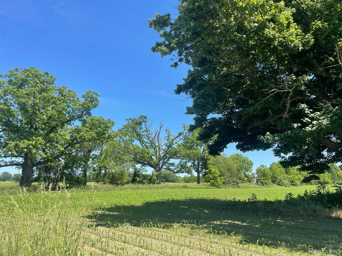 V/L SCHREPFER RD, Cohoctah Twp, MI 48855