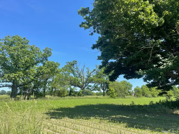 V/L SCHREPFER RD, Cohoctah Twp, MI 48855