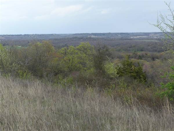 TBD Dye Mound Road, Forestburg, TX 76239