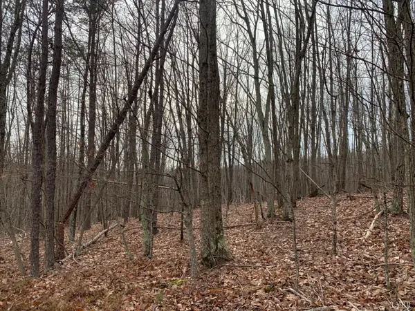 0 Christian Mill Creek Rd RD, Amherst, VA 24521
