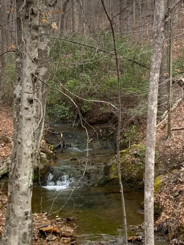 0 Christian Mill Creek Rd RD, Amherst, VA 24521