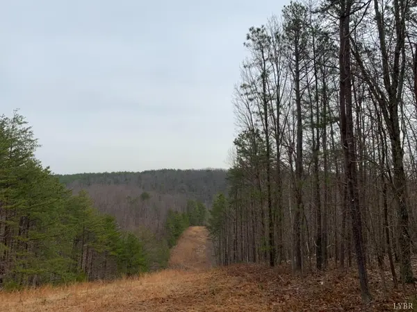 0 Christian Mill Creek Rd RD, Amherst, VA 24521