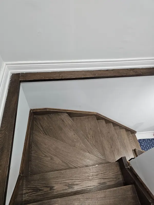 3177 Colonial DR #basement #1, Mississauga, ON L5L 5L3