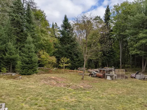 124 Cardwell Lake RD, Huntsville, ON P0B 1M0