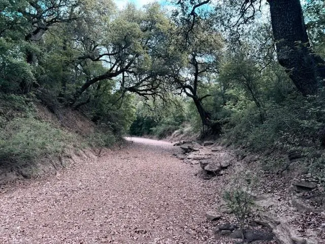 950 County Road 442, Mercury, TX 76872