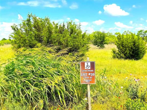 1020 Goodnight Trail, Perrin, TX 76486