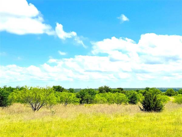 1020 Goodnight Trail, Perrin, TX 76486