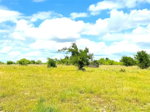 1020 Goodnight Trail, Perrin, TX 76486