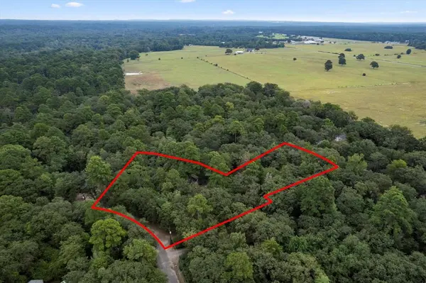 177 Woodfern Glen, Holly Lake Ranch, TX 75765