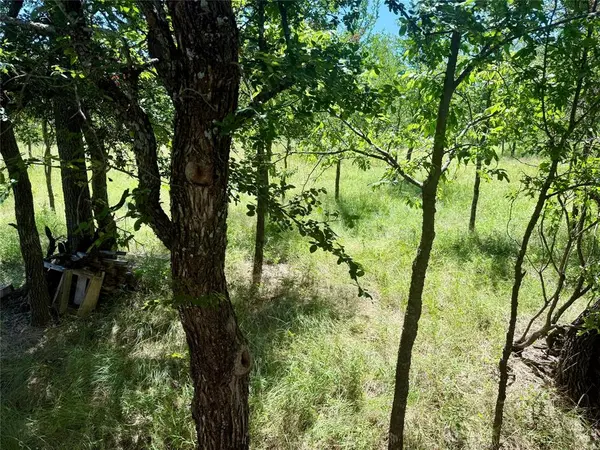 0 Cimmarron Court, Bridgeport, TX 76426