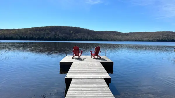 294 Albion Lake DR, Faraday, ON K0L 1C0