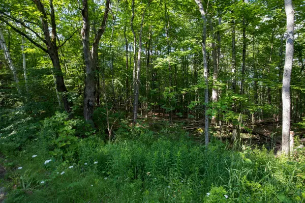 0 Walkers Point RD N, Muskoka Lakes, ON P1P 1R2