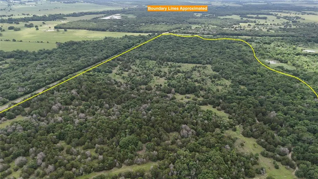 TBD 125 Acres FM 642, Purdon, TX 76679