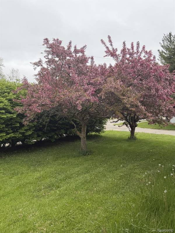 6344 Kilgour ST, Marlette, MI 48453