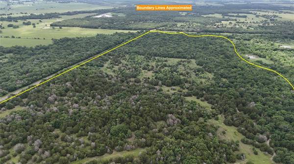 TBD 125 Acres FM 642, Purdon, TX 76679