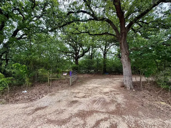 TBD 125 Acres FM 642, Purdon, TX 76679