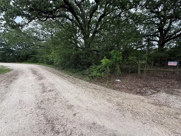 TBD 125 Acres FM 642, Purdon, TX 76679