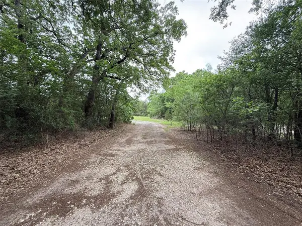 TBD 125 Acres FM 642, Purdon, TX 76679