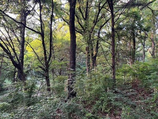 1878 W Belt Line Road, Cedar Hill, TX 75104