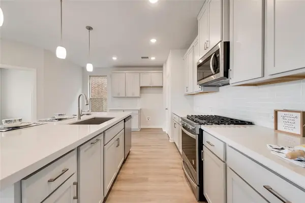 169 Ashbrook Street, Little Elm, TX 75068