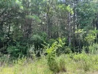 LOT 5 FM 556, Pittsburg, TX 75686