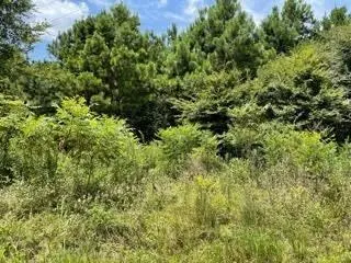 LOT 5 FM 556, Pittsburg, TX 75686