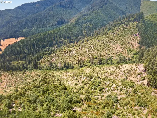 0 Upper Cow Creek RD, Azalea, OR 97410