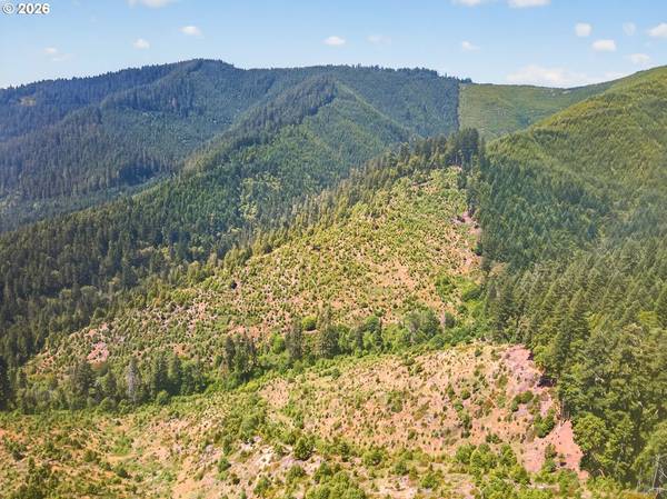 0 Upper Cow Creek RD, Azalea, OR 97410