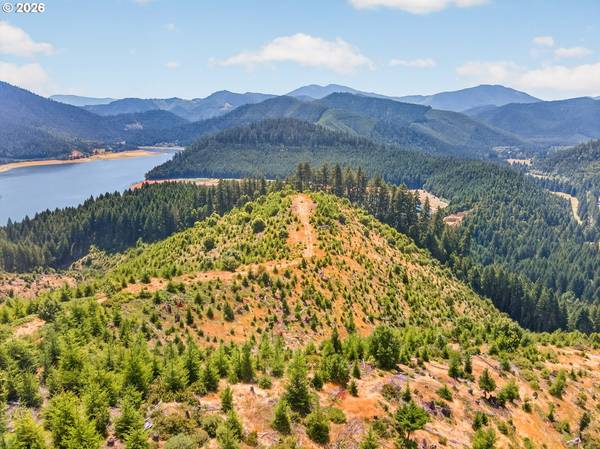 0 Upper Cow Creek RD, Azalea, OR 97410