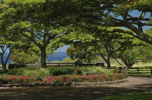 56-153 PUALANI RD, Hawi, HI 96719