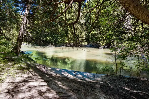 0 Betsie River CT, Benzonia Twp, MI 49616