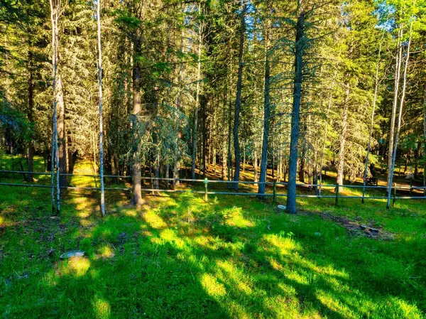 13 Chickadee RD, Waiparous, AB T0L 1N0