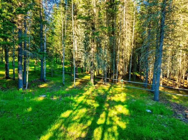 13 Chickadee RD, Waiparous, AB T0L 1N0