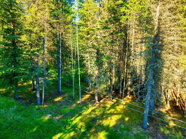 13 Chickadee RD, Waiparous, AB T0L 1N0