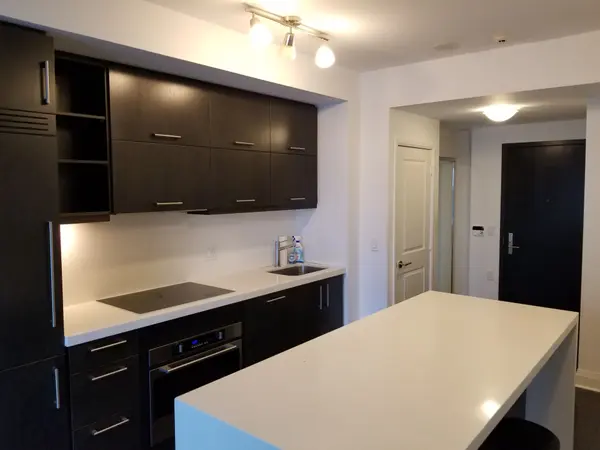65 St Mary ST #2501, Toronto C01, ON M5S 0A6