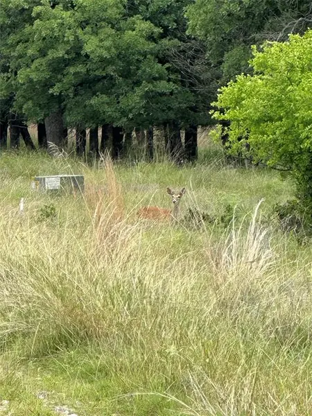 Lot 237 Vista Pointe Drive, Chico, TX 76431