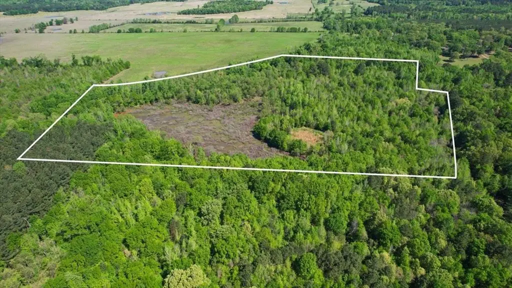 TBD CR 1143, Daingerfield, TX 75638