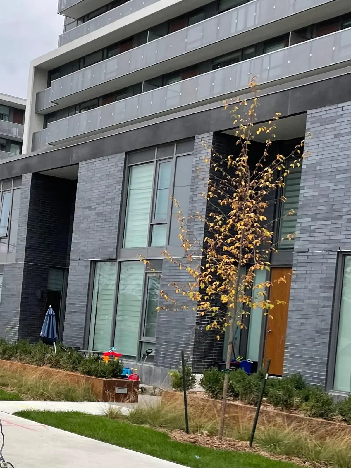116 Varna DR, Toronto W04, ON M6H 0C8
