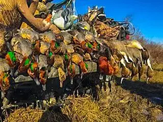 UNK Camp Creek Road, Temple, TX 76501