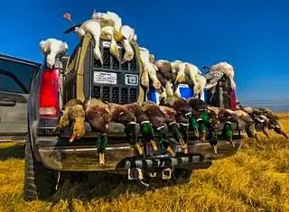 UNK Camp Creek Road, Temple, TX 76501