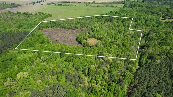 TBD CR 1143, Daingerfield, TX 75638