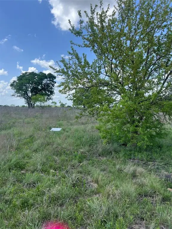 #28 Private Road 4311, Jonesboro, TX 76531