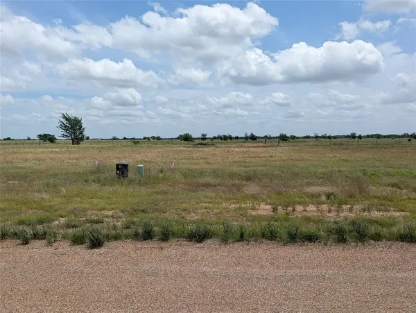 1107 Skyline Street, Mabank, TX 75147