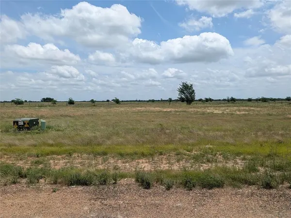 1107 Skyline Street, Mabank, TX 75147