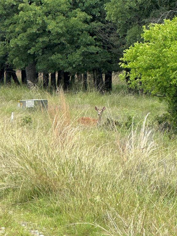 Lot 237 Vista Pointe Drive, Chico, TX 76431