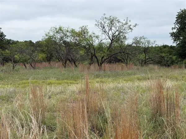 Lot 237 Vista Pointe Drive, Chico, TX 76431
