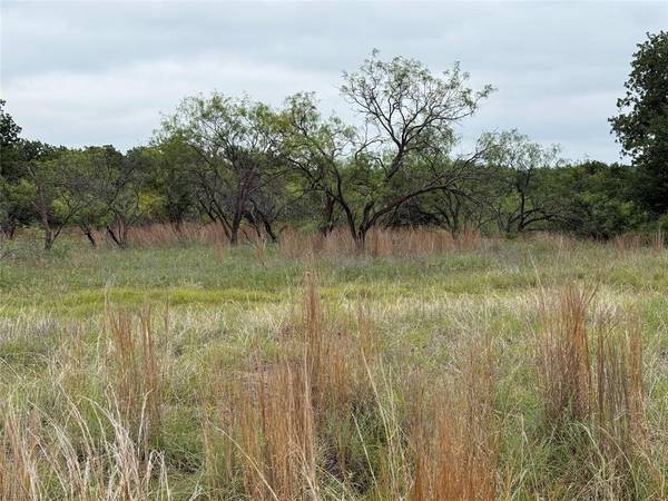 Lot 237 Vista Pointe Drive, Chico, TX 76431