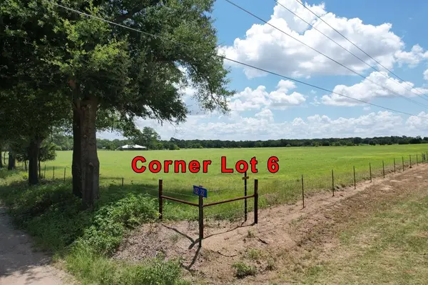 Lot 6 VZ County Road 3208, Wills Point, TX 75169