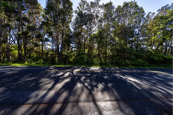 WRIGHT RD, Volcano, HI 96785