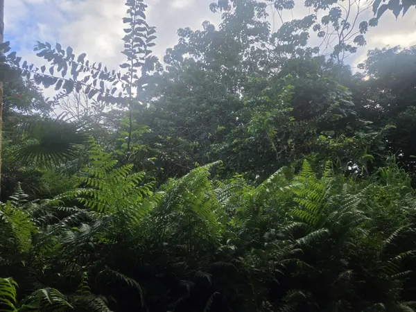 KEKAUONOHE ST, Pahoa, HI 96778